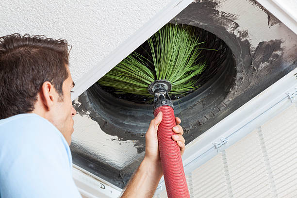 Best Best Air Duct Cleaning Near Me  in Brookwood, AL